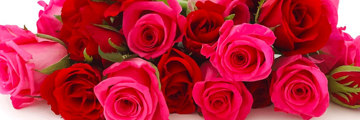 whole foods valentines day roses 2025