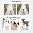 Load image into Gallery viewer, Fido Focus