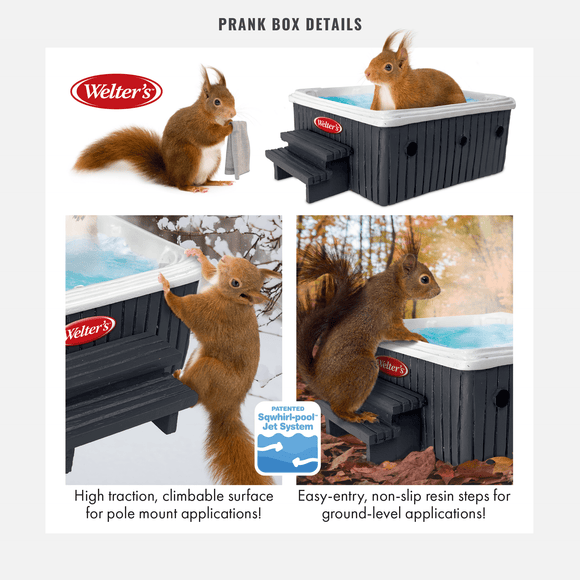 Squirrel Hot Tub