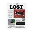 Load image into Gallery viewer, Lost Cat Digital Download Flyer