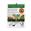 Load image into Gallery viewer, Mowing Goats Digital Download Flyer