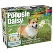 Load image into Gallery viewer, Poopsie Daisy
