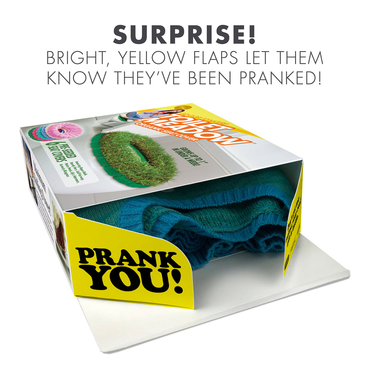 4 Pack Medium Boxes: BATHROOM: Bathe & Brew, Tidy Tips, Toilet Meadow,