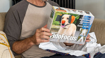THE JOKE TO BOX PIPELINE: BEHIND THE SCENES OF PRANK-O’S NEW 2025 PRANK GIFT BOXES