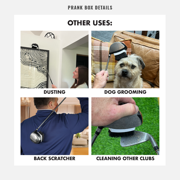 Swing Clean