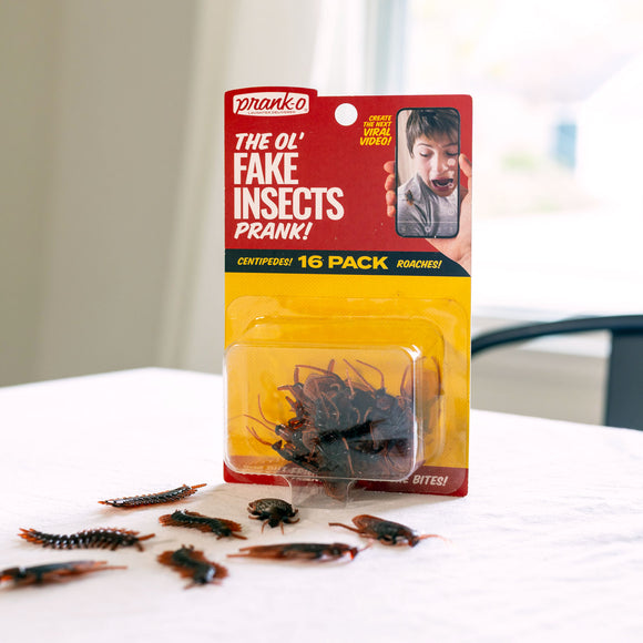 The Ol' Fake Insects Prank