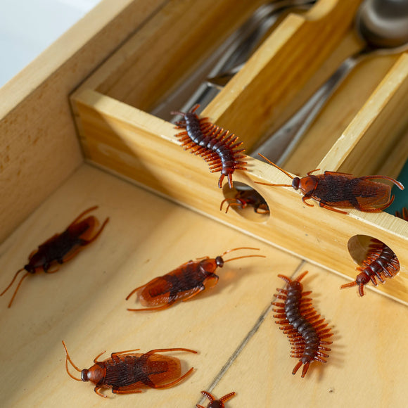 The Ol' Fake Insects Prank