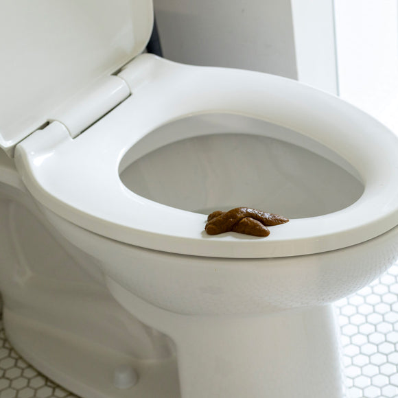 The Ol' Fake Poop Prank