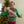 Load image into Gallery viewer, Ugly Sweater Award Sashes
