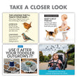 Load image into Gallery viewer, Peck &amp; Play
