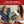 Load image into Gallery viewer, Puzzle Buddy
