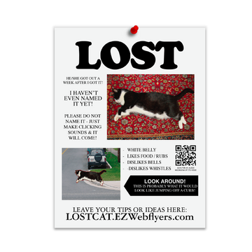 Lost Cat Funny Neighborhood Flyers Prank-O - Main Image