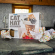 Load image into Gallery viewer, 2 Pack Medium Boxes: Cat Hat

