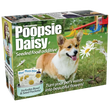 Load image into Gallery viewer, 4 Pack Medium Boxes: Cast &amp; Blast, Poopsie Daisy, Pudding Pouch, TikTot
