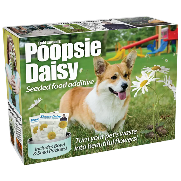 4 Pack Medium Boxes: Cast & Blast, Poopsie Daisy, Pudding Pouch, TikTot