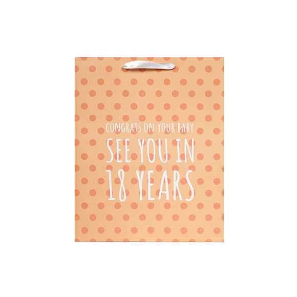 2 Pack Baby Gift Bag Bundle