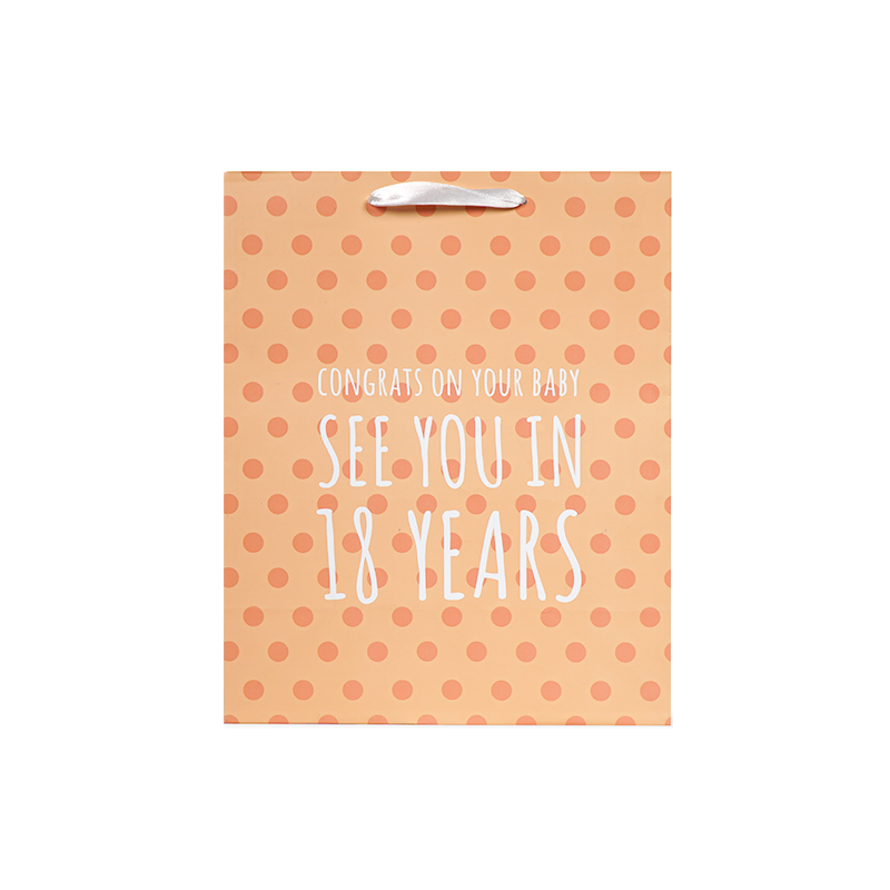 2 Pack Baby Gift Bag Bundle