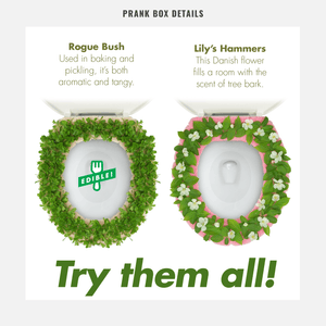 joke details on funny Christmas gift boxes