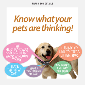 box details from joke gift box for pet owners for the Pet Talk animal translator  collar from Prank-O