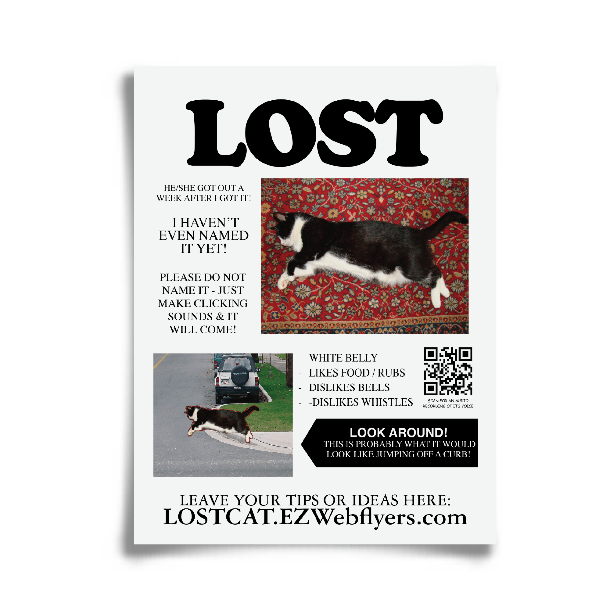 Lost Cat, Funny Neighborhood Flyers